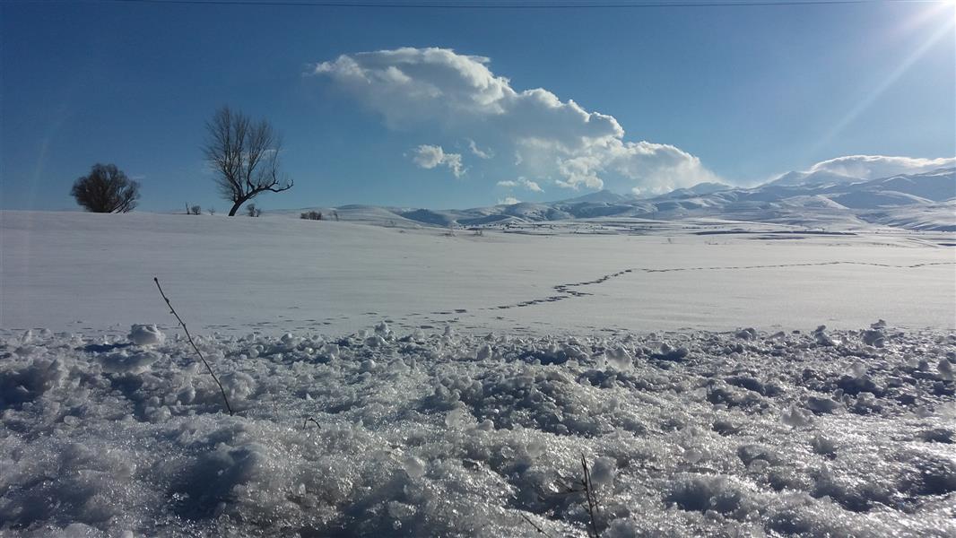 هنر عکاسی محفل عکاسی اکبر کانونی نخوت زمستان