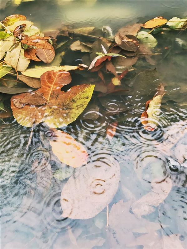 هنر عکاسی محفل عکاسی مبینا عاشوری Mobile photography
*2020