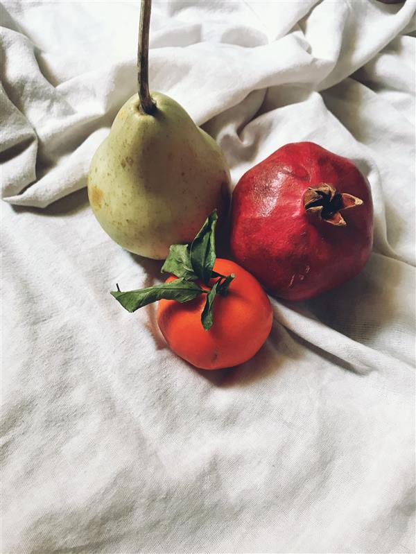 هنر عکاسی محفل عکاسی مبینا عاشوری 