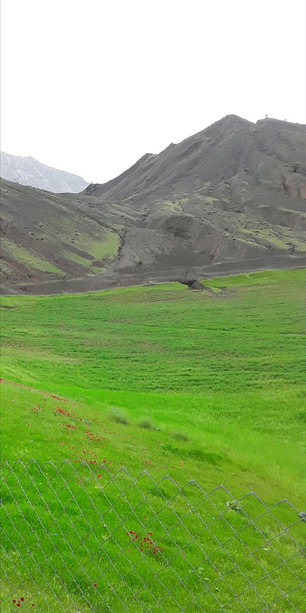 هنر عکاسی محفل عکاسی زهره پاپی طبیعت