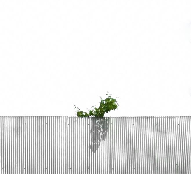 هنر عکاسی محفل عکاسی pouriamarhamati Untitled
#minimal#مینیمال