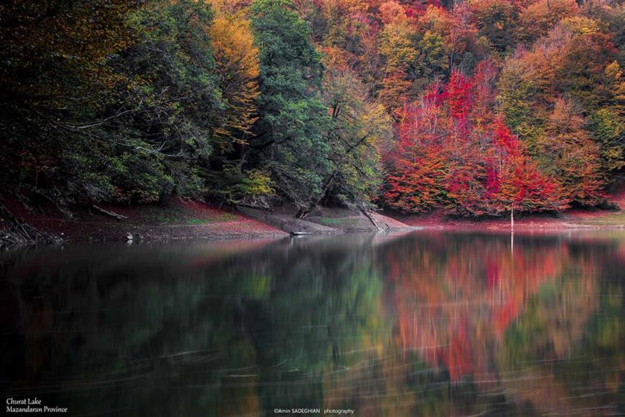 هنر عکاسی محفل عکاسی امین صادقیان دریاچه چورت استان مازندران در فصل پاییز