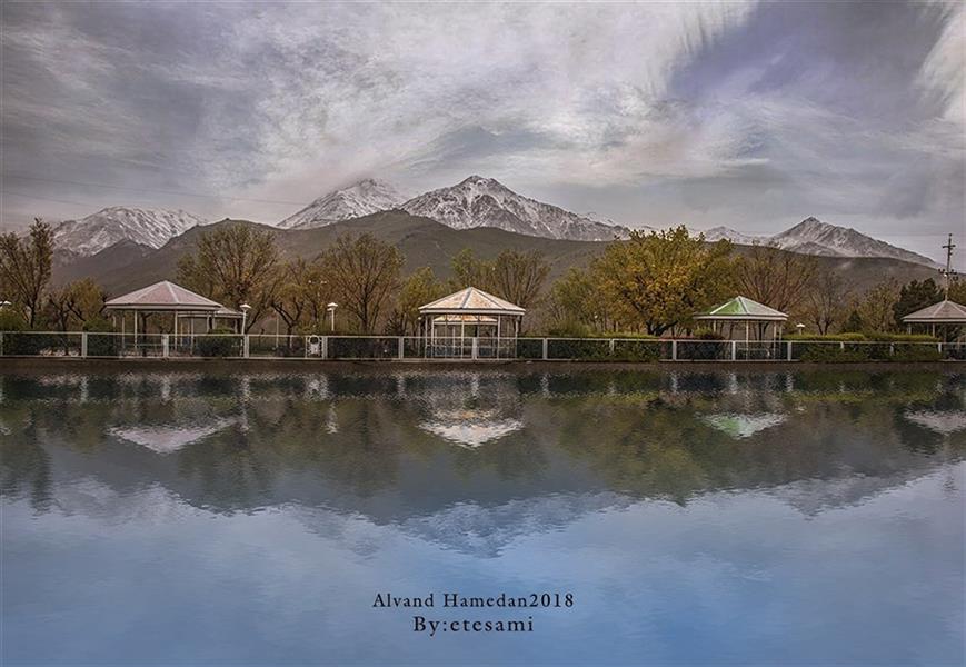 هنر عکاسی محفل عکاسی عکاسی 