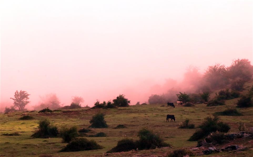 هنر عکاسی محفل عکاسی علی ناظمی نام اثر : خودکشی دسته جمعی ابرها
روستای مازیچال 
علی ناظمی 