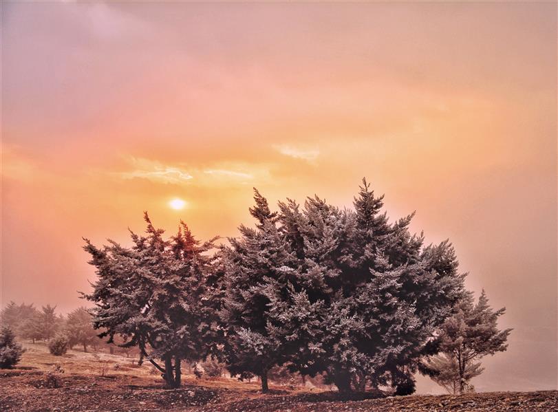 هنر عکاسی محفل عکاسی امیرسالار لاکچی photo by amirsalar lakchi