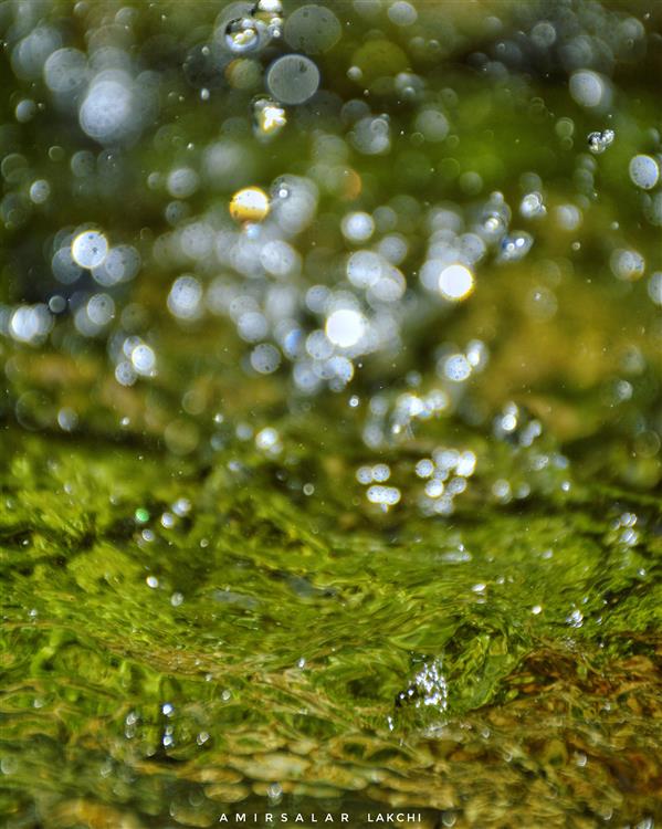 هنر عکاسی محفل عکاسی امیرسالار لاکچی عکاسی آبستره
تشکیل بوکه به وسیله قطره های آب در چشمه
photo by amirsalar lakchi