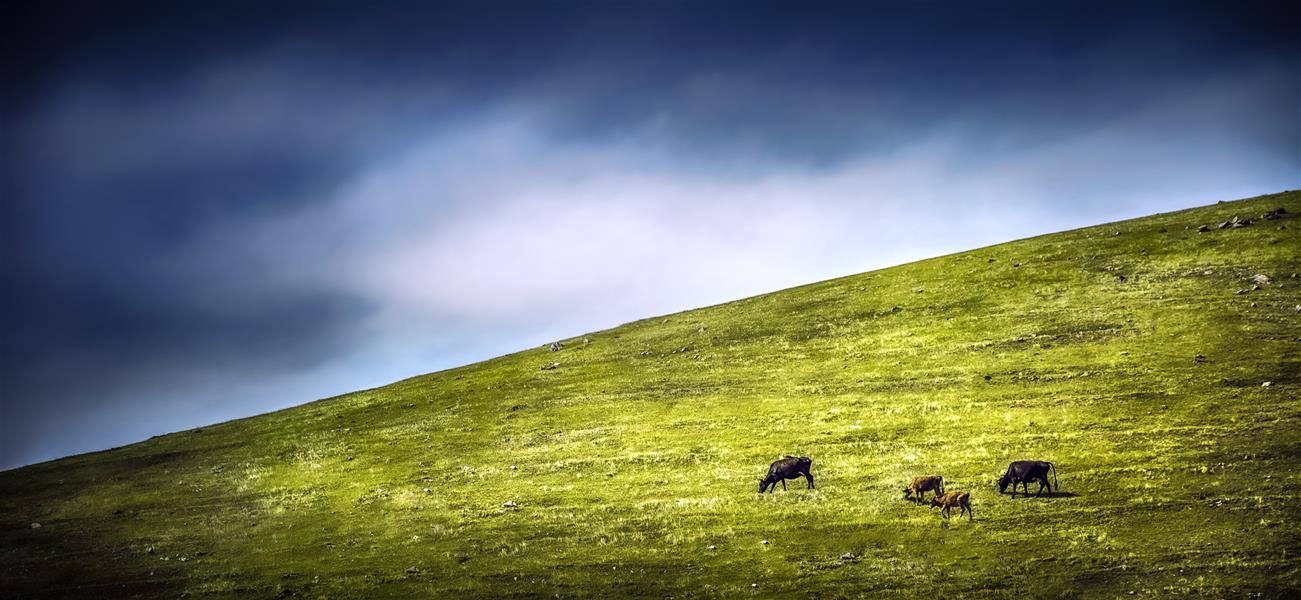 هنر عکاسی محفل عکاسی امیرسالار لاکچی روستای هجیج