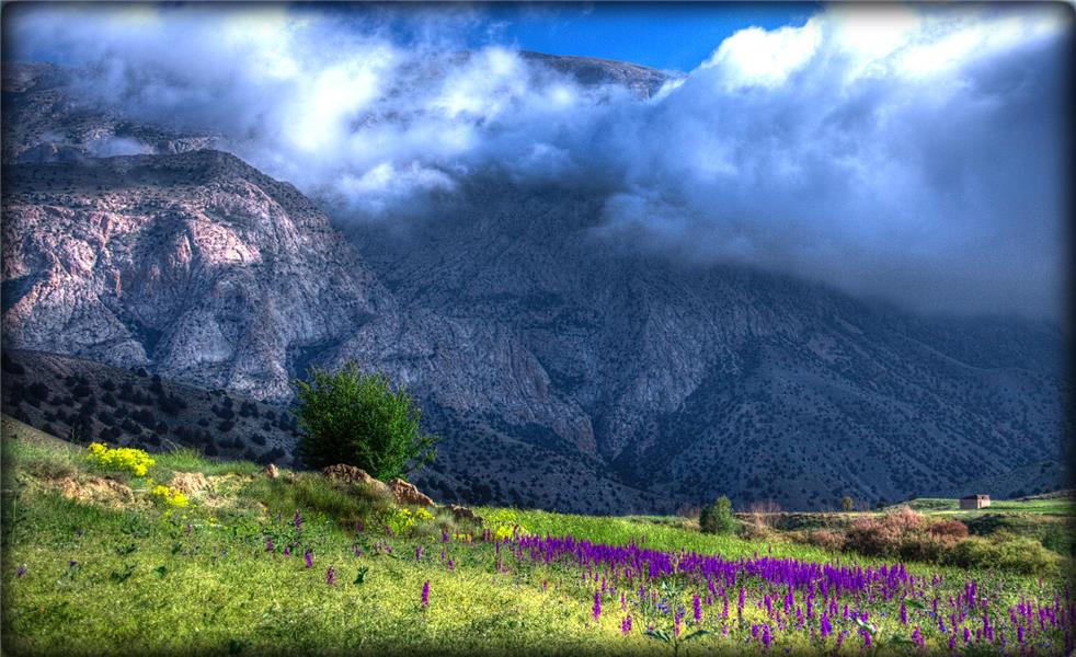 هنر عکاسی محفل عکاسی حسن احمدیان  مکان:روستای چاشم در فاصله ی 24 کیلومتری شهمیرزاد.                    زمان:بهار 1396