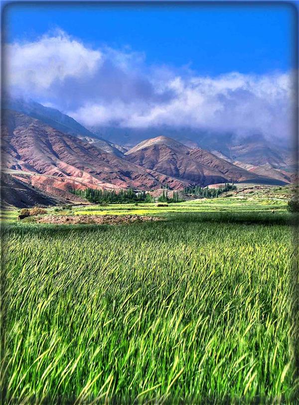 هنر عکاسی محفل عکاسی حسن احمدیان  روستای چاشم.بهار1396