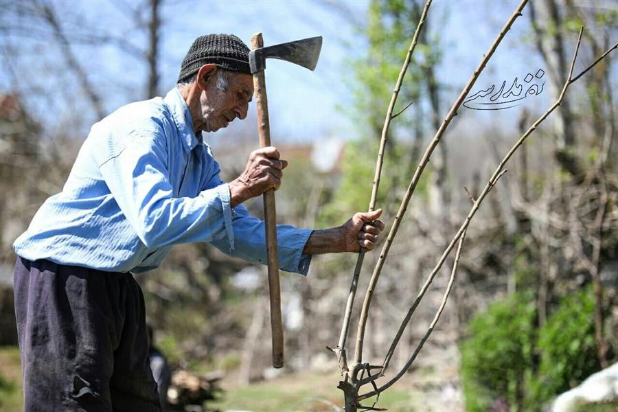 هنر عکاسی محفل عکاسی Nafas_modarresi  سدلفور
