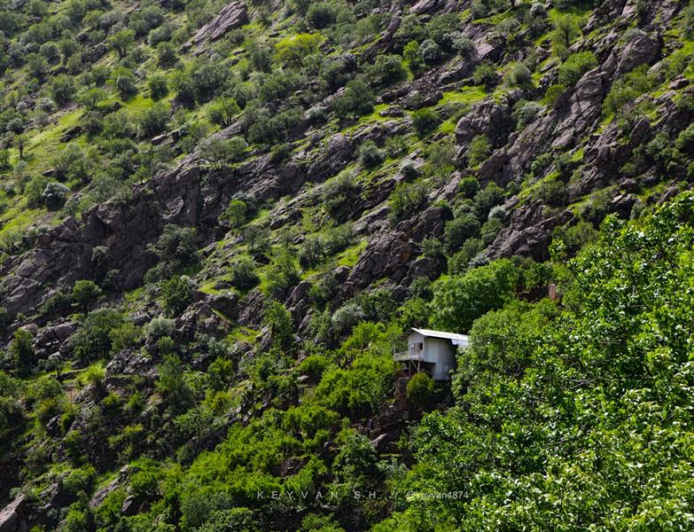 هنر عکاسی محفل عکاسی keyvan sh ...کلبه ای خواهم ساخت ،در دل کوهستانهای پر زه جنگل ،در کنار چشمه ساران اساطیری...@keyvan4874-منطقه اورامانات-غرب ایران.