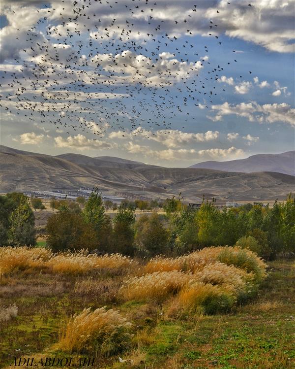 هنر عکاسی محفل عکاسی عادل عبدالهی طبیعت زیبای سنندج
