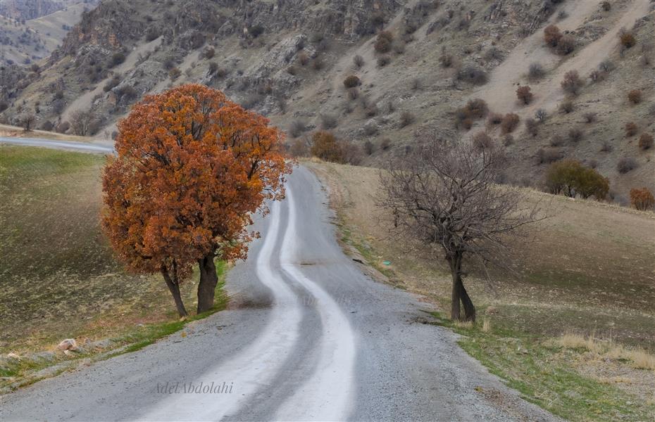 هنر عکاسی محفل عکاسی عادل عبدالهی 