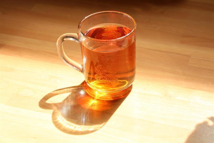 هنر عکاسی محفل عکاسی حسین فرد 