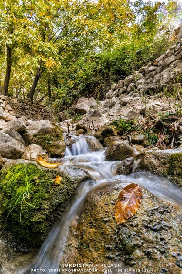 هنر عکاسی محفل عکاسی Edris Khosravizadeh پاییز زیبای اورامان