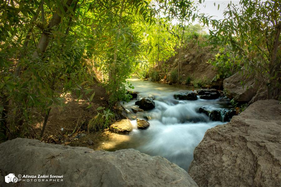 هنر عکاسی محفل عکاسی علیرضا ظهیری سروری نهر آب کنار طاق بستان کرمانشاه