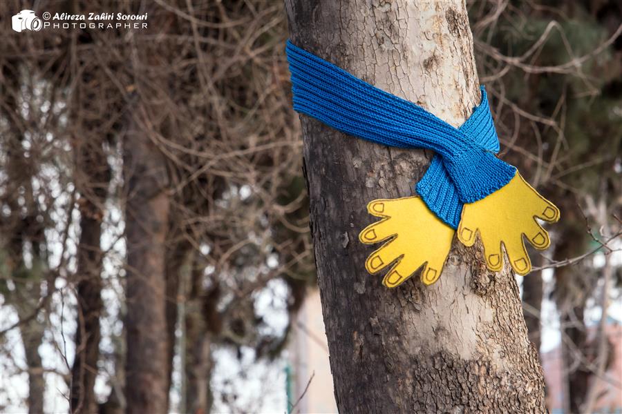 هنر عکاسی محفل عکاسی علیرضا ظهیری سروری گرامیداشت روز درختکاری