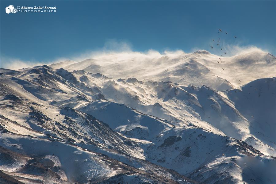هنر عکاسی محفل عکاسی علیرضا ظهیری سروری #snow #winter #landscape