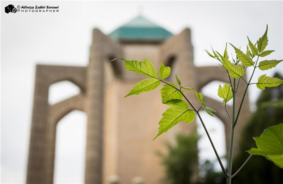 هنر عکاسی محفل عکاسی علیرضا ظهیری سروری آرامگاه باباطاهر عریان همدان