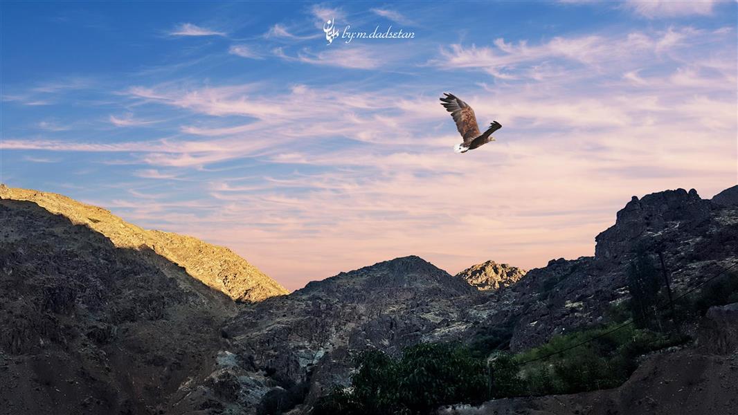 هنر عکاسی محفل عکاسی محمد دادستان عنوان: عقاب در قاب
مکان: ارتفاعاتِ دربند
#hdr
#natural
#my_city
#eagles
#mountain 
#landscapes
#sky
#cloudy
#darband