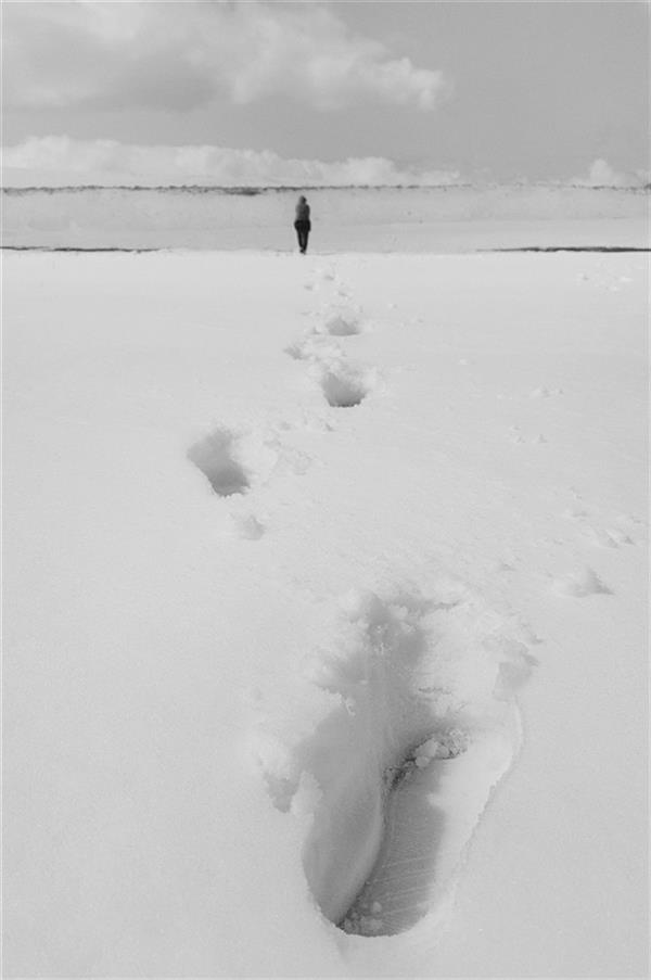 هنر عکاسی محفل عکاسی محمد دادستان Deep Footprint
برف #زمستان #مینیمال #انسان #ردپا #آرت #فاین_آرت #مونوکروم #سیاه_و_سفید #مفهومی #conceptual# minimal #snow #fine_art #winnter #monochrome #human #art