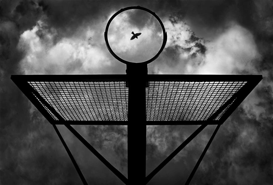 هنر عکاسی محفل عکاسی محمد دادستان One Flew Over the Cuckoo's Nest
...
#مینیمال #خیابانی #آرت #مونوکروم #مفهومی #ضد_نور #تقارن