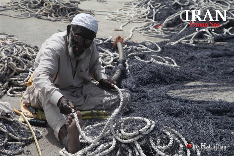 هنر عکاسی محفل عکاسی hamidpsd 