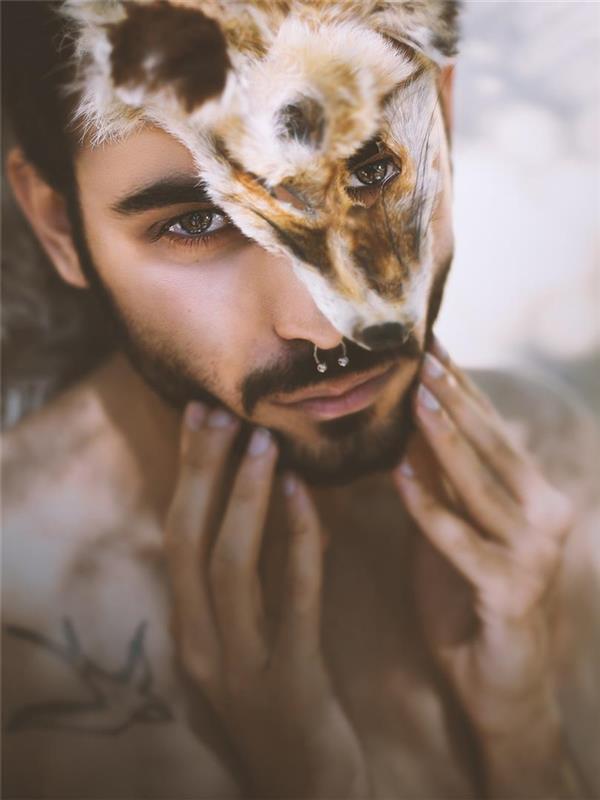 هنر عکاسی محفل عکاسی محسن محمدی Fox