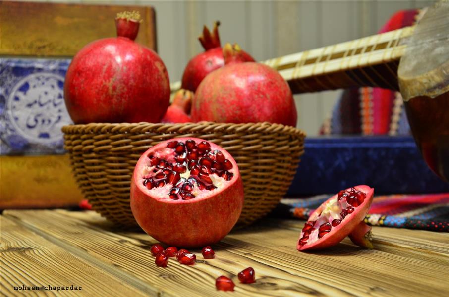 هنر عکاسی محفل عکاسی Mohsen 