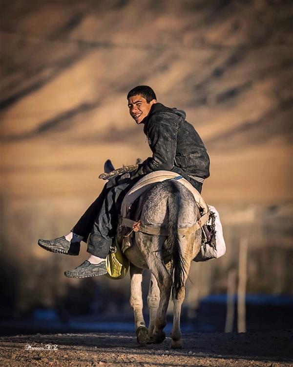 هنر عکاسی محفل عکاسی منصور رضائی زاده عکس در روستاهای اطراف همدان ثبت شده است
#کانن #مستند #نیکون #عکاسی خیابانی #سونی #چوپان