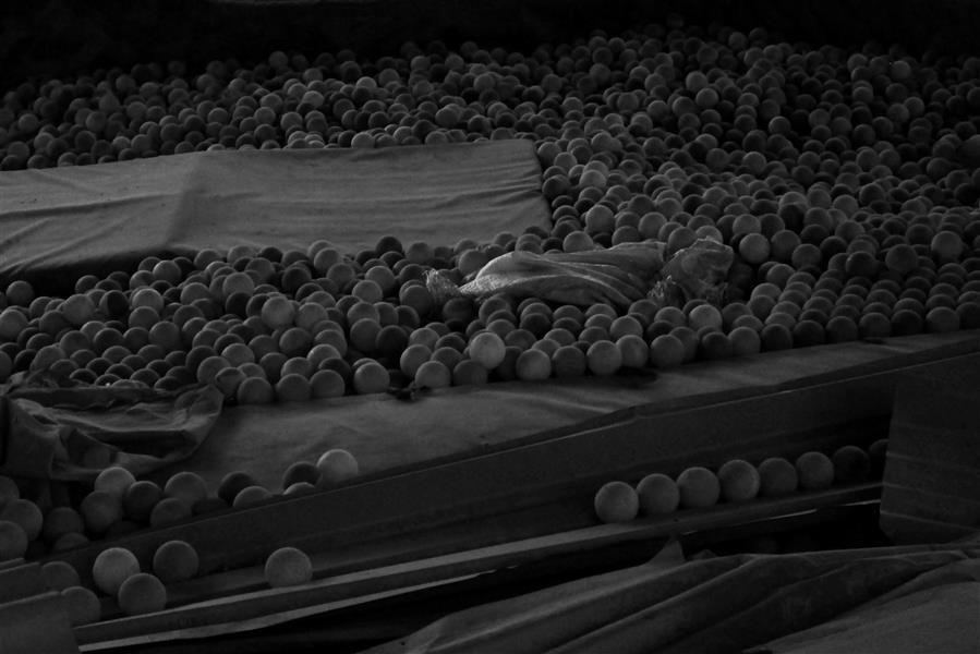 هنر عکاسی محفل عکاسی مرتضی صیادی جهان از تکرار ساخته شده، اما معنا فقط در شکافی میان این تکرارها زاده می‌شود
جایی که چشم عادت نمی‌بیند