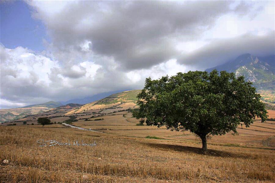 هنر عکاسی محفل عکاسی سید بهراد میردوستی 
