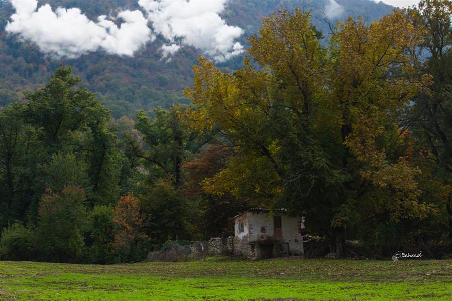 هنر عکاسی محفل عکاسی سید بهراد میردوستی