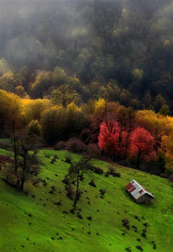 هنر عکاسی محفل عکاسی ام سی  