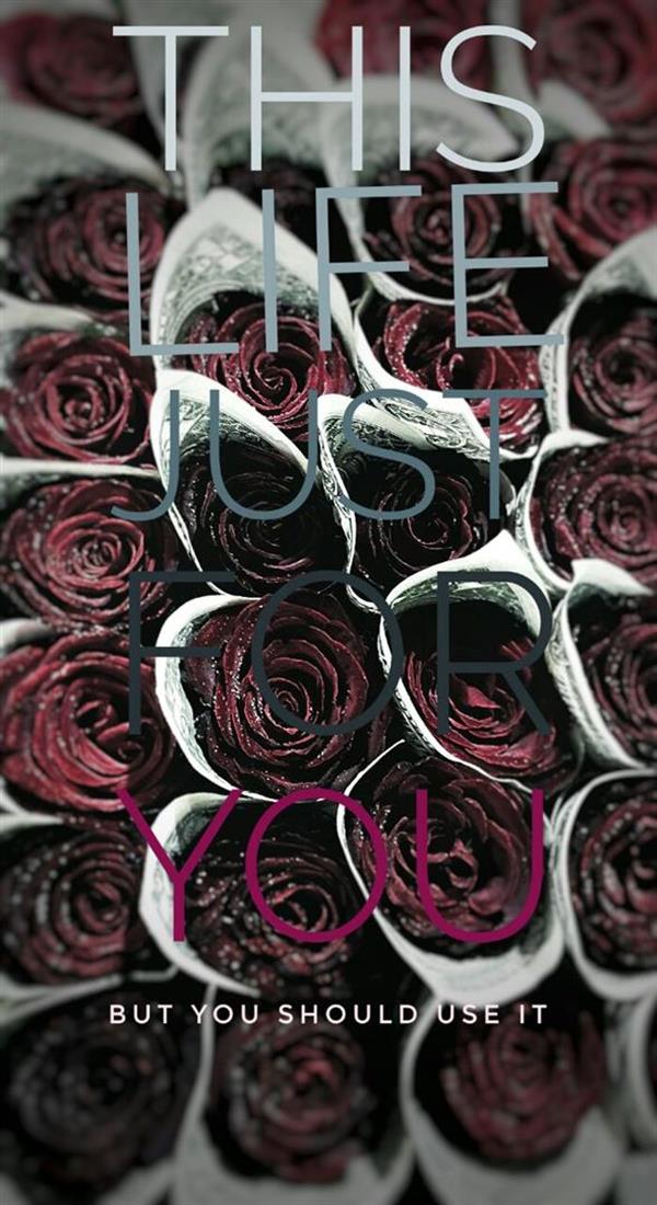 هنر عکاسی محفل عکاسی امیرعلی گلزار عکس و متن گرافی