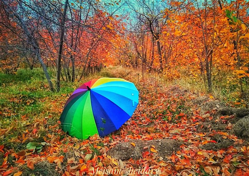 هنر عکاسی محفل عکاسی میثم حیدری روستای کساوند موبایلگرافی