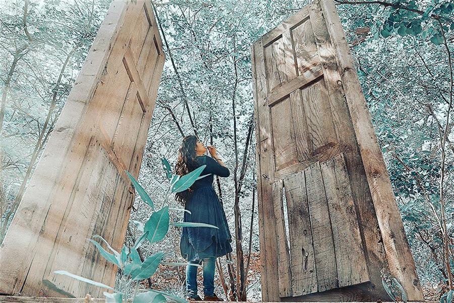 هنر عکاسی محفل عکاسی نازیلا عشاق الحسینی باغ آرزو