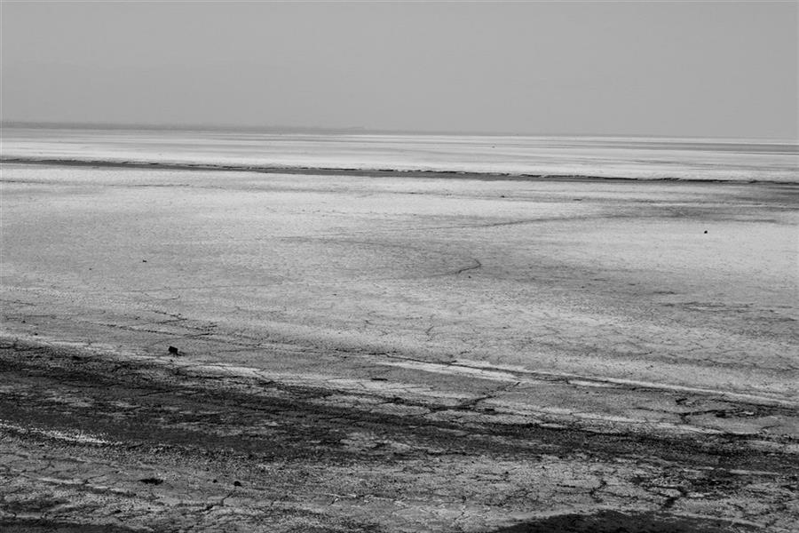 هنر عکاسی محفل عکاسی علی شادیفر این تصویر یک کویر زیبا یا یک بیابون کنار جاده نیست...این تصویر دردناک تصویر دریاچه ارومیه است که قبلا با دیدن اون دقیقه ها چشممان به زیباییش خیره میشد و در کنارش عکس های زیبایی میگرفتیم اما حال...عکس میگیریم ولی تماما با عنوان (ارومیه خشک-ارومیه مرده-و...)گرفتن این عکس برایم خیلی درد اور بود.خیلی زیاد