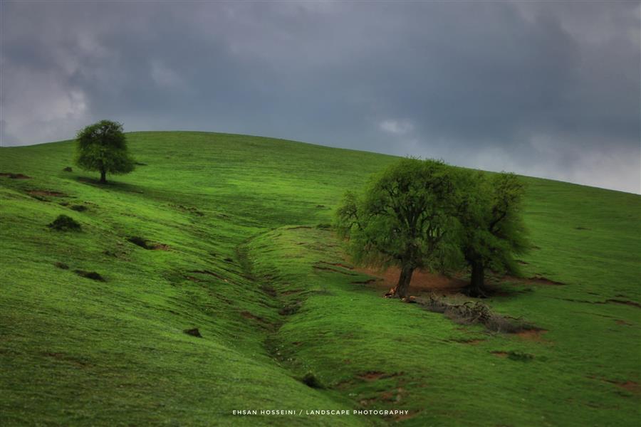 هنر عکاسی محفل عکاسی Photomoda کسب رتبه نخست جشنواره "طبیعت سبز"
#گیلان#املش#عکس#جشنواره#طبیعت_سبز#طبیعت