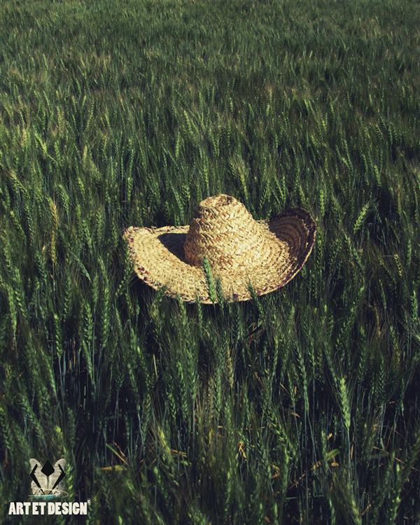 هنر عکاسی محفل عکاسی Art et design Hat wood green wheat