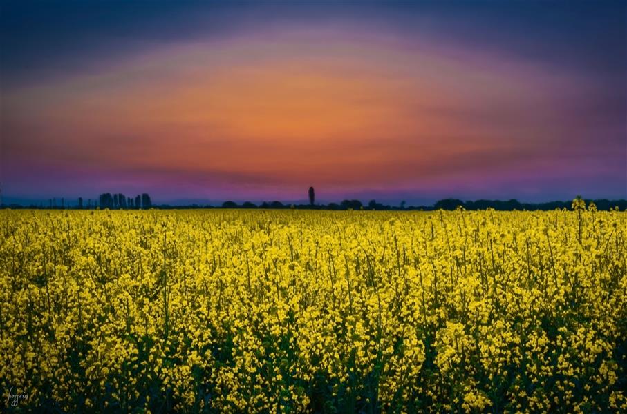 هنر عکاسی محفل عکاسی حسین یزدان‌فر 
