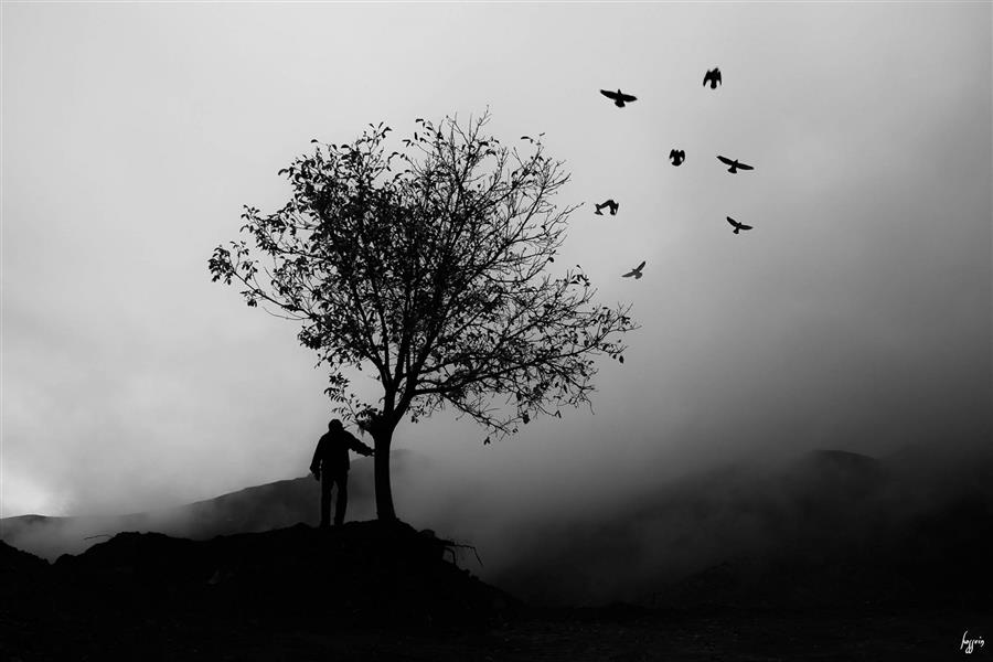 هنر عکاسی محفل عکاسی حسین یزدان‌فر 