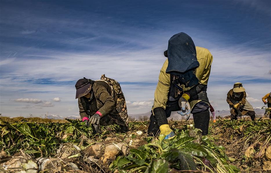 هنر عکاسی محفل عکاسی حسین یزدان‌فر 