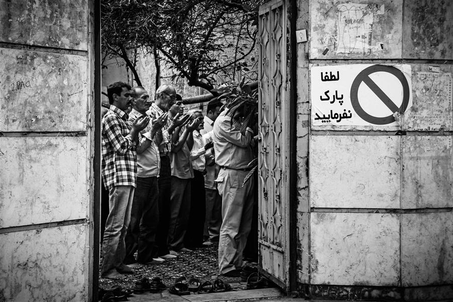 هنر عکاسی محفل عکاسی ساناز منعمی