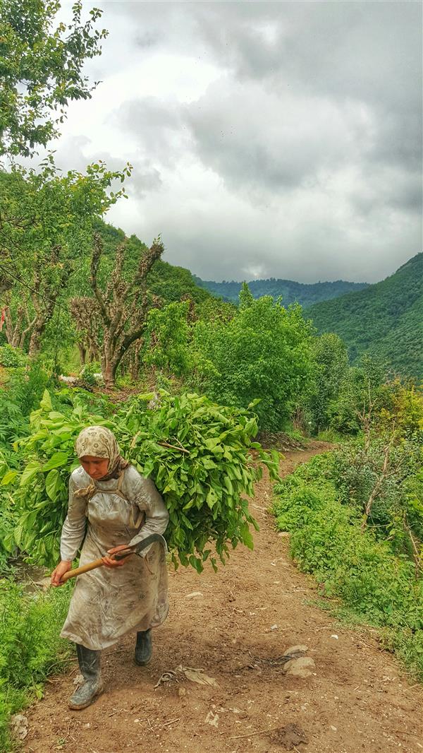 هنر عکاسی محفل عکاسی ساناز منعمی 
