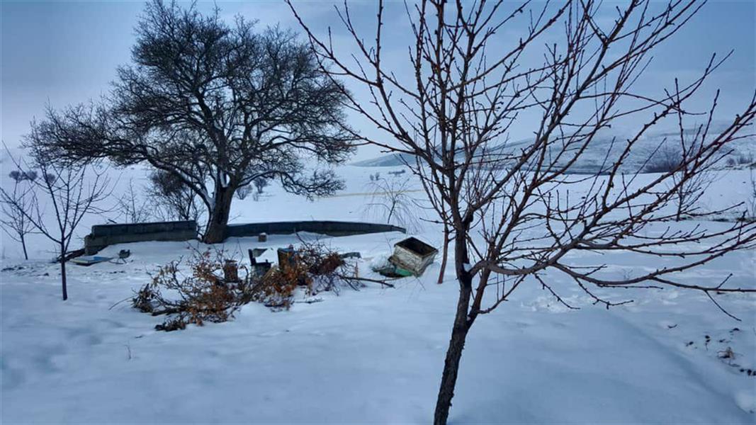 هنر عکاسی محفل عکاسی سهند رستمی عکاسی با گوشی #کردستان#سقز#زمستان