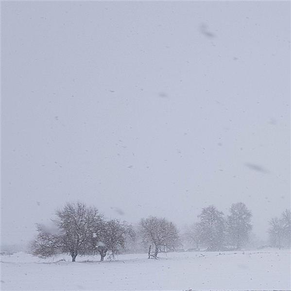 هنر عکاسی محفل عکاسی اسماعیل رضایی 