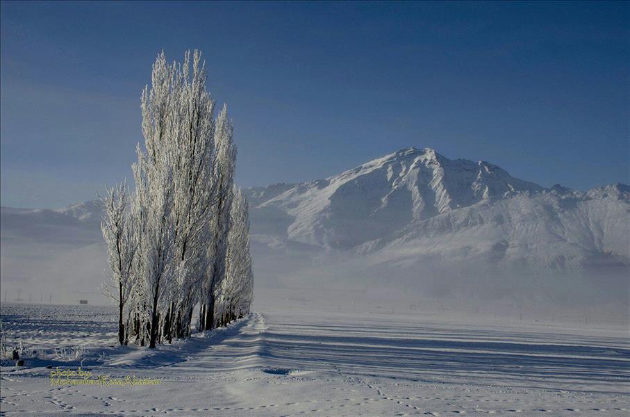 هنر عکاسی محفل عکاسی محمدرضا عباسیان