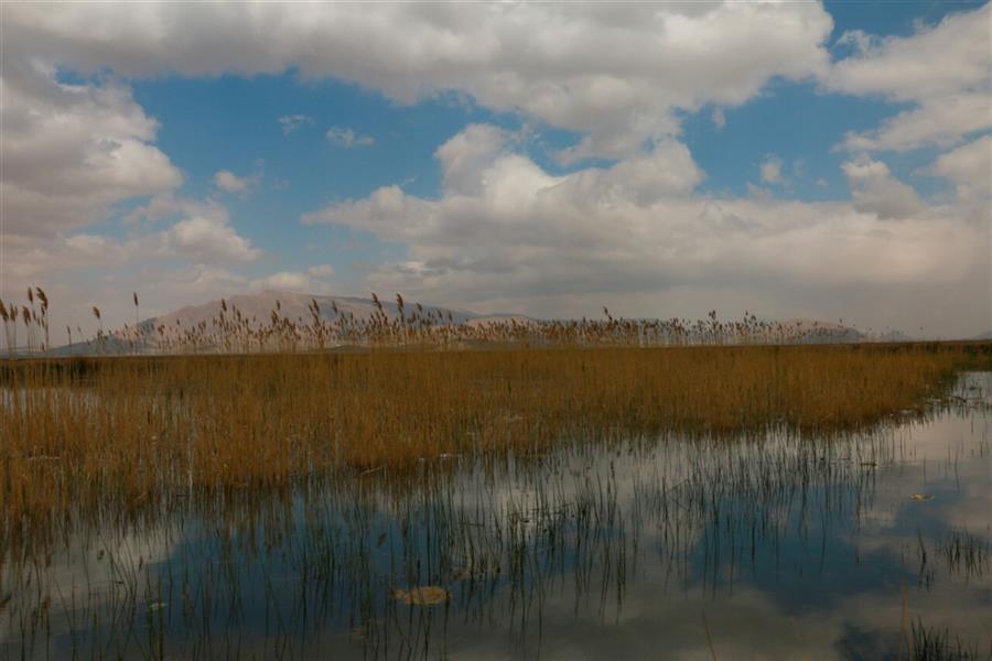 هنر عکاسی محفل عکاسی بهنام کریمی Breathe