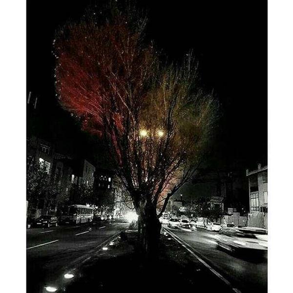 هنر عکاسی محفل عکاسی معصومه ساداتی # عکاسی سیاه و سفید
